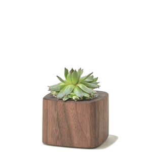 walnut-desk-collection-planter-short-a2_1_1000x1000_90